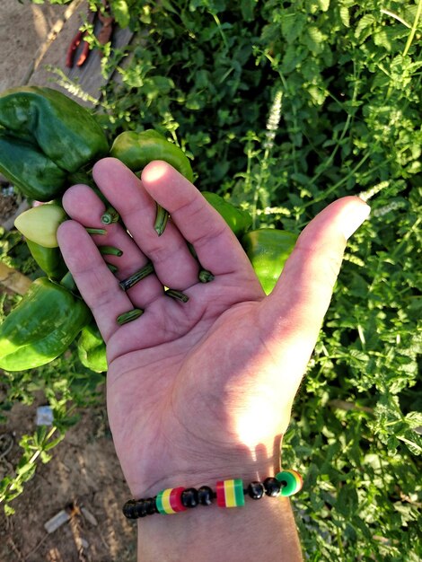 A hand holding a handful of rich, dark soil with visible earthworms. The background is slightly blurred, showing some green plants and garden tools, highlighting the importance of healthy soil.
