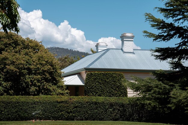 Eco-Friendly Home Renovations: Boost Value & Cut Carbon by 25%