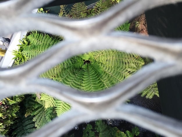 Close-up of a rainwater collection system filter, showing the mesh screen designed to remove leaves, debris, and other contaminants from the rainwater as it enters the storage tank. The filter is clean and well-maintained.