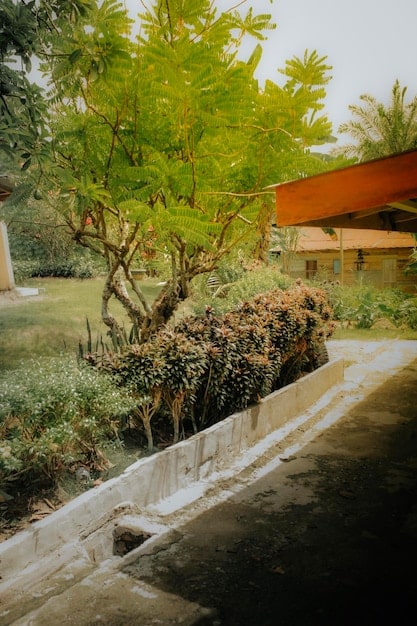 Sustainable Landscaping: Your Guide to an Eco-Friendly Yard