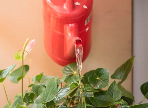A close-up shot of a rain barrel collecting water from a downspout, showcasing water conservation in sustainable landscaping.