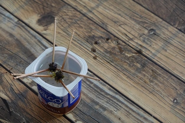 A simple DIY ant bait station made from a small container with holes, placed near an ant trail in a kitchen.