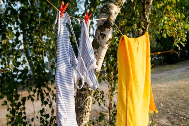 A sunny backyard with a clothesline strung between two trees, draped with colorful clothes gently swaying in the breeze. The scene evokes a sense of simplicity and eco-friendliness.