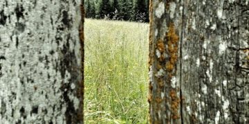 Water Conservation Challenge: Reduce Your Bill by 25% - Cover Image