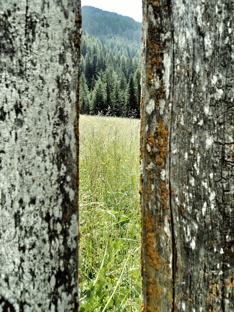 Water Conservation Challenge: Reduce Your Bill by 25%