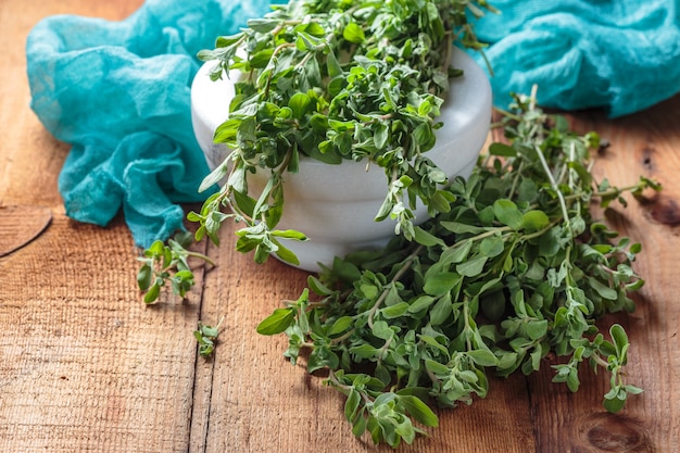 A close-up of various containers filled with herbs such as basil, thyme, oregano, and mint. The herbs are thriving, with vibrant green leaves and some flowering.