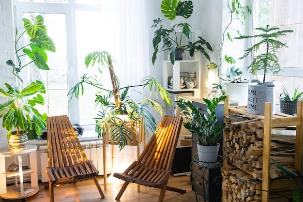 The Power of Plants: Improve Air Quality & Reduce Stress