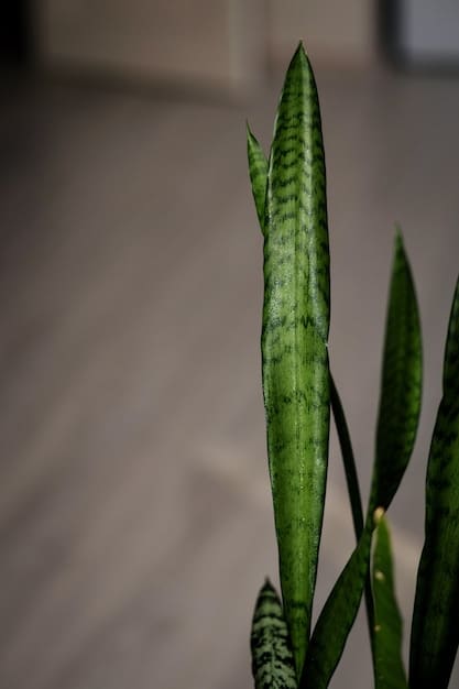 A close-up shot of a snake plant (Sansevieria trifasciata) with its distinctive upright leaves, showcasing its air-purifying abilities. The background is blurred to emphasize the plant's texture and form.