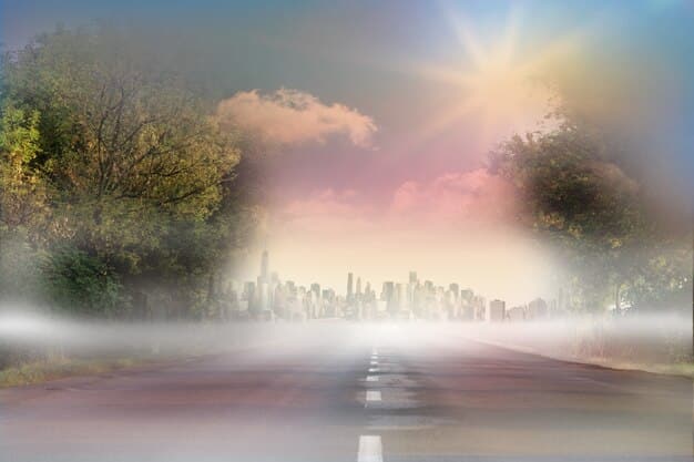 A split image showing, on one side, a crowded highway with smog, and on the other side, a person riding a bicycle on a sunny path surrounded by trees. This visually contrasts unsustainable and sustainable transportation options.