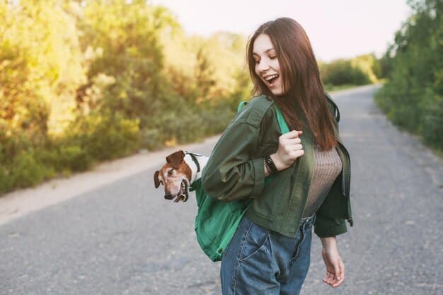 A dog wearing a biodegradable waste bag holder on a walk in the park.