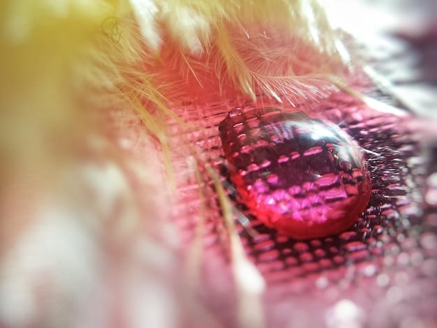 A close-up of a perovskite solar cell under laboratory conditions, showcasing the unique crystal structure and vibrant colors of the material, emphasizing its advanced technology.