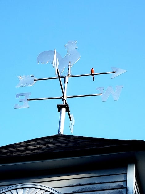 A side view of a solar panel installation on a roof, showcasing the mounting system and its resistance to wind forces, with arrows indicating the direction of wind flow.