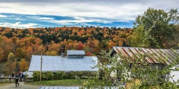 Renewable Energy Microgrids: Latest Trends for US Rural Communities - Cover Image