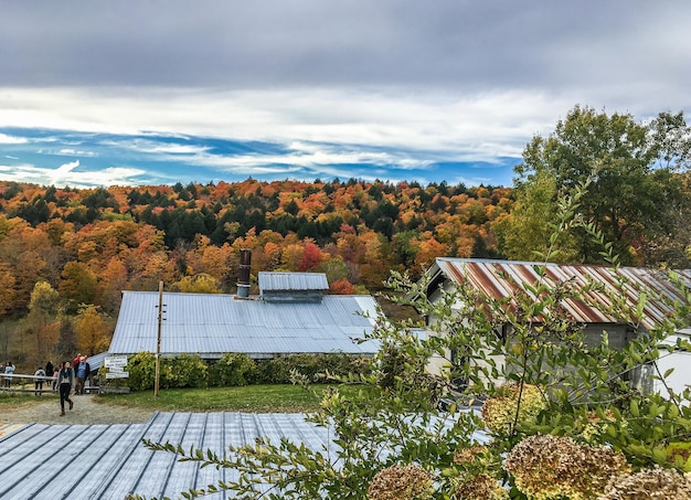 Renewable Energy Microgrids: Latest Trends for US Rural Communities