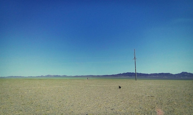 Renewable Energy Adoption in the US: Key Technological Challenges