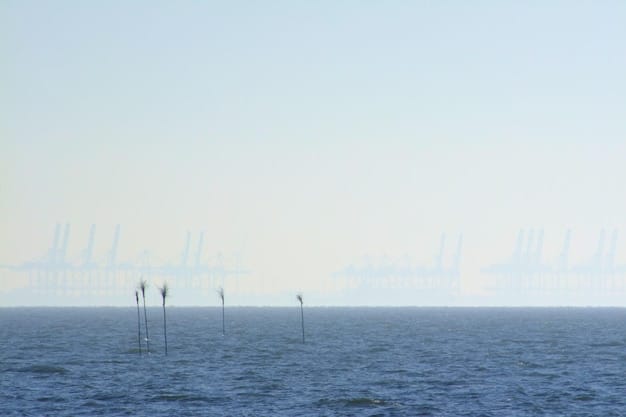 A conceptual image of a wave energy farm along the US coastline, showing multiple wave energy converters deployed in a row, generating electricity. The image depicts a clean and sustainable energy source that blends harmoniously with the marine environment. The coastline is dotted with small coastal towns and cities powered by wave energy.