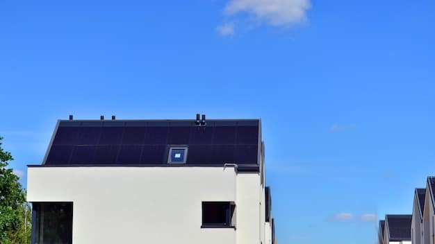 Bifacial Solar Panels: A Worthwhile Investment for US Homes in 2025?