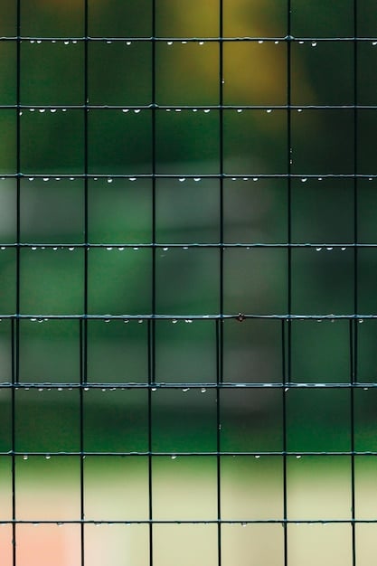 A close-up of a bifacial solar panel, showing the crystalline silicon solar cells on both the front and back surfaces. Light is shining through the transparent backsheet, highlighting the dual-sided functionality.