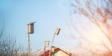 Choosing the Right Renewable Energy Tech for Your Needs - Cover Image