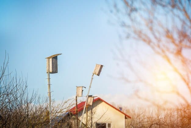 Choosing the Right Renewable Energy Tech for Your Needs