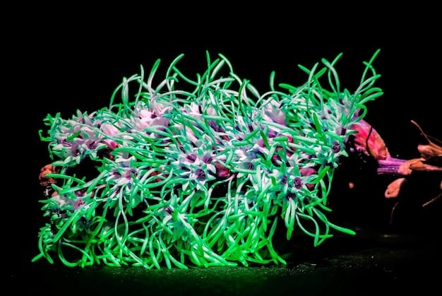 A close-up image of genetically modified algae in a bioreactor, illuminated by LED lights. The algae are a vibrant green color, and the bioreactor is a clear, cylindrical container with various tubes and sensors attached. Bubbles are visible inside the reactor, indicating active biological processes.