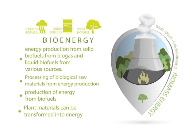 A detailed infographic illustrating the electrolysis process for green hydrogen production, highlighting the use of renewable energy sources like solar and wind to split water molecules into hydrogen and oxygen.