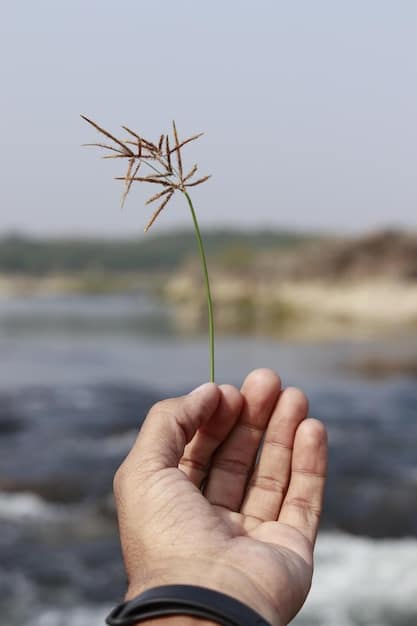 A close-up of a hand holding a seedling being planted in fertile soil, with wind turbines visible in the background. The image symbolizes the growth and sustainability of clean energy investments.
