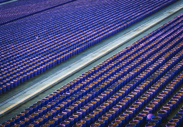 Close-up view of a grid-scale battery storage facility with multiple rows of battery containers. The containers are various shades of gray, and the setting is an industrial area with fencing and power lines visible.
