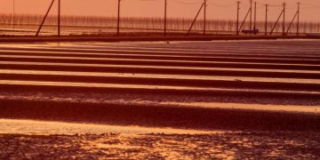 Clean Energy Investments in the US: Long-Term Prospects - Cover Image