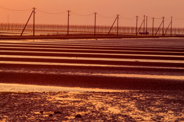 Clean Energy Investments in the US: Long-Term Prospects