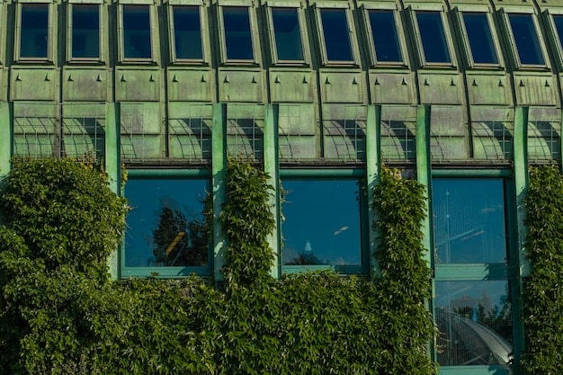 A wide shot of a commercial building with advanced energy-efficient windows and a green roof, showcasing sustainable business practices.