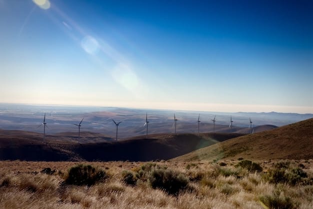 Navigating Clean Energy Investments: A Guide to US Regulations