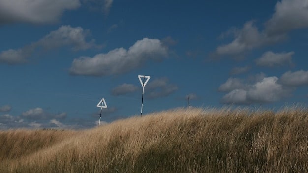 A graph showing the fluctuation of wind energy production over a year, with peaks and troughs indicating seasonal variations. The graph also includes data on average wind speeds and the impact of weather patterns on energy output.