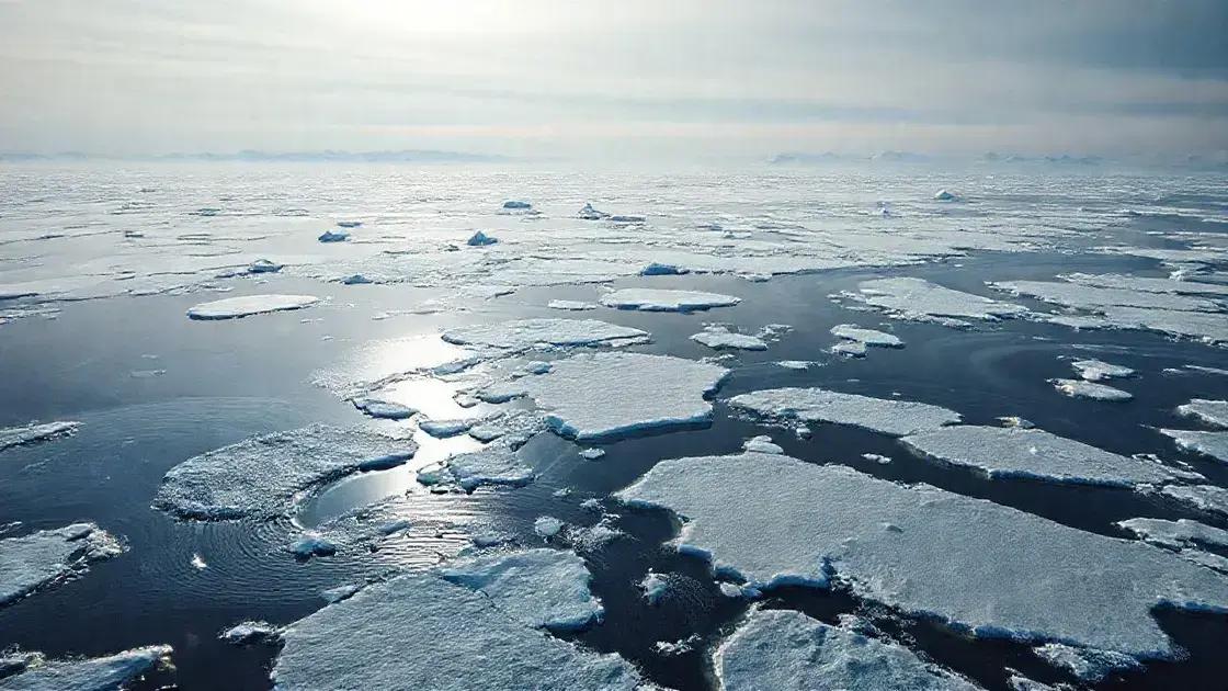 Factors contributing to sea ice loss