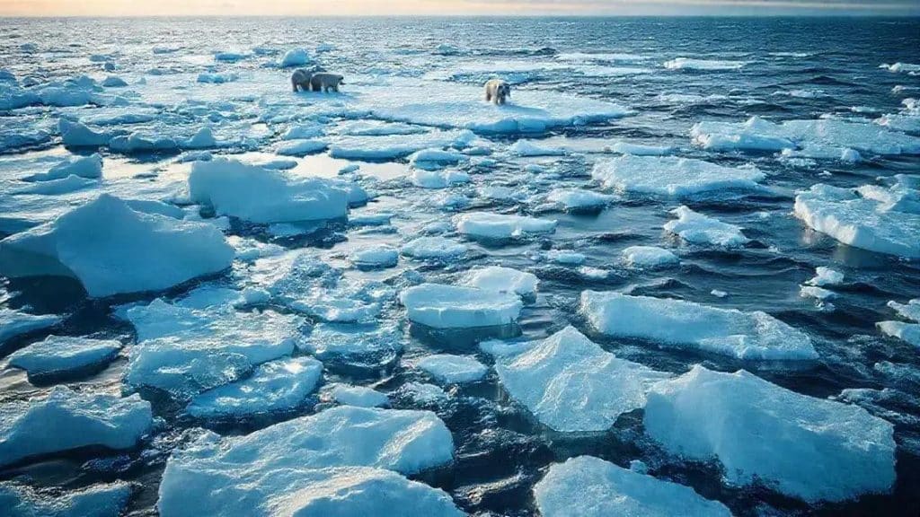 Arctic sea ice decline trends: what you need to know