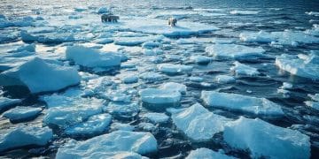 Arctic sea ice decline trends: what you need to know